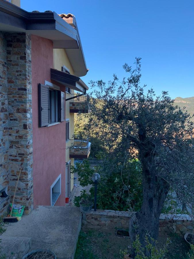 Bed and Breakfast Il Vecchio Ulivo Sa Tanca Ussàssai Zewnętrze zdjęcie