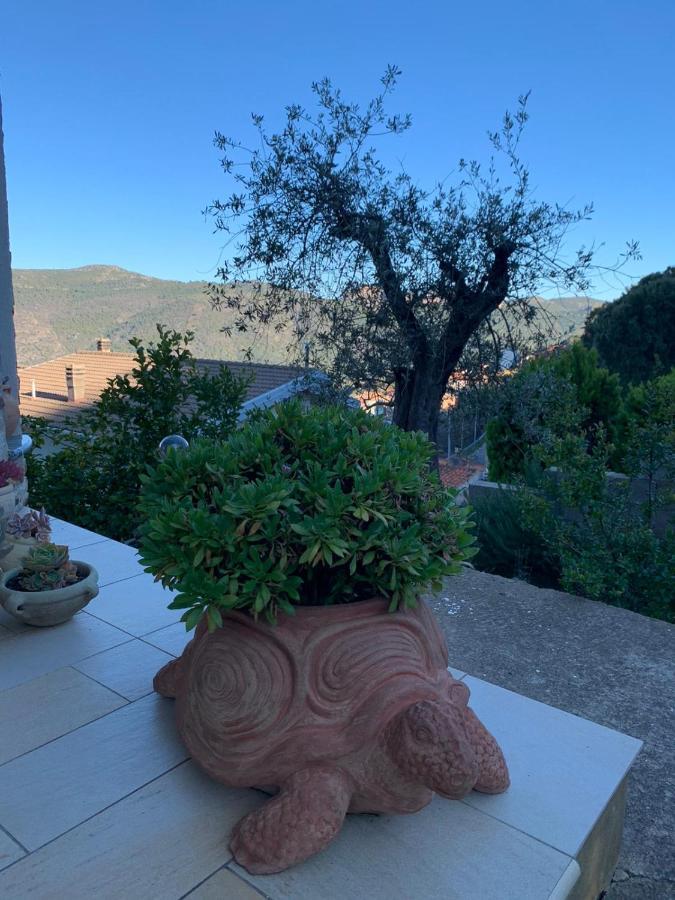 Bed and Breakfast Il Vecchio Ulivo Sa Tanca Ussàssai Zewnętrze zdjęcie